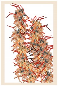 stampa, 42x62