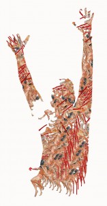 cm 50x80