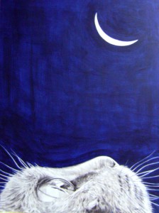 Gatto luna